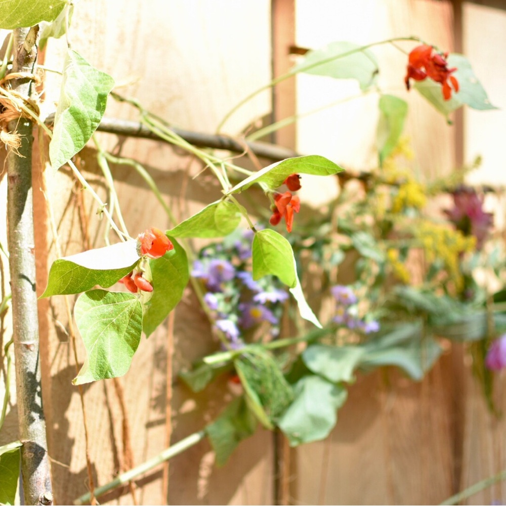 Meet your Posher, Allison